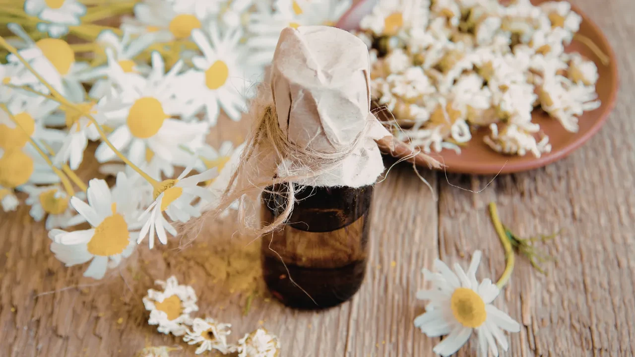 Çocuk yaşta sürün! Kıllanmayı önleyen yağ     