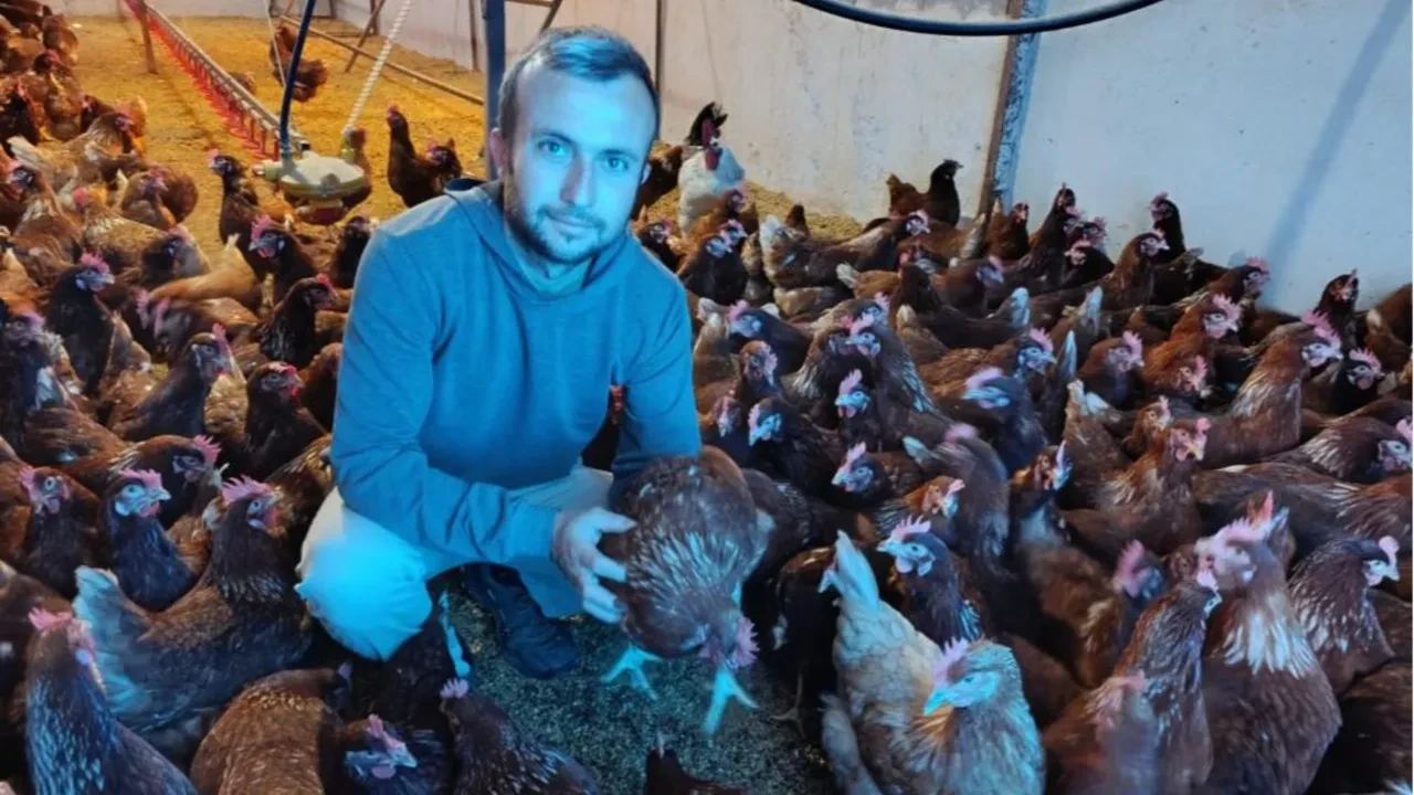 Şehirde kirasını ödeyemiyordu, köyde patron oldu! Bu tavuklar 'nakit' yumurtluyor