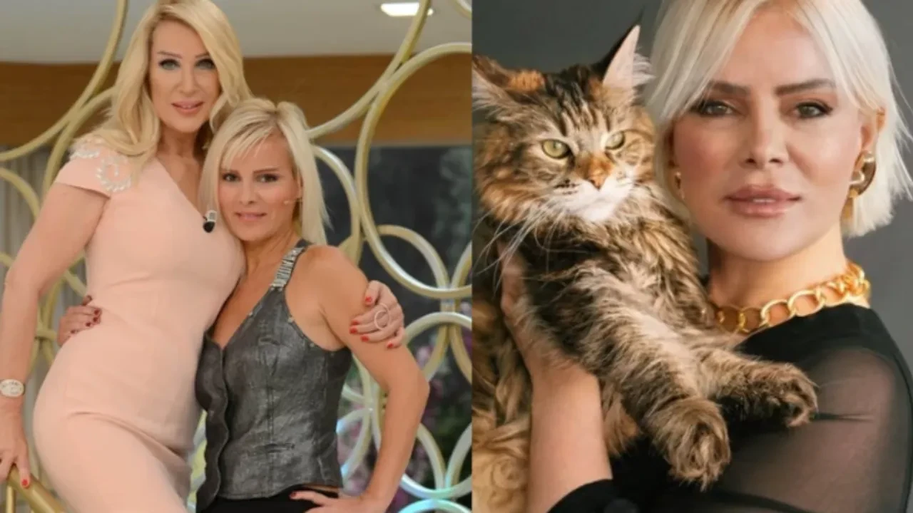 Seda Sayan, 36 kedisi olan Ömür Gedik'in bam teline dokununca aldığı cevapla dumur oldu! 