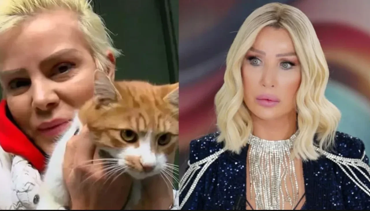 Seda Sayan, 36 kedisi olan Ömür Gedik'in bam teline dokununca aldığı cevapla dumur oldu! 