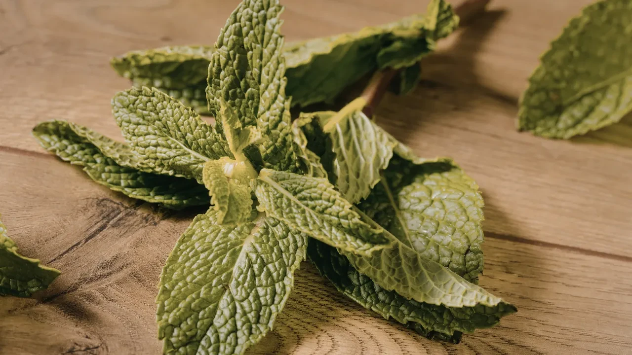 Bağırsakları iç dış temizleyen çay! Her yemek sonrası tuvalete çıkartır