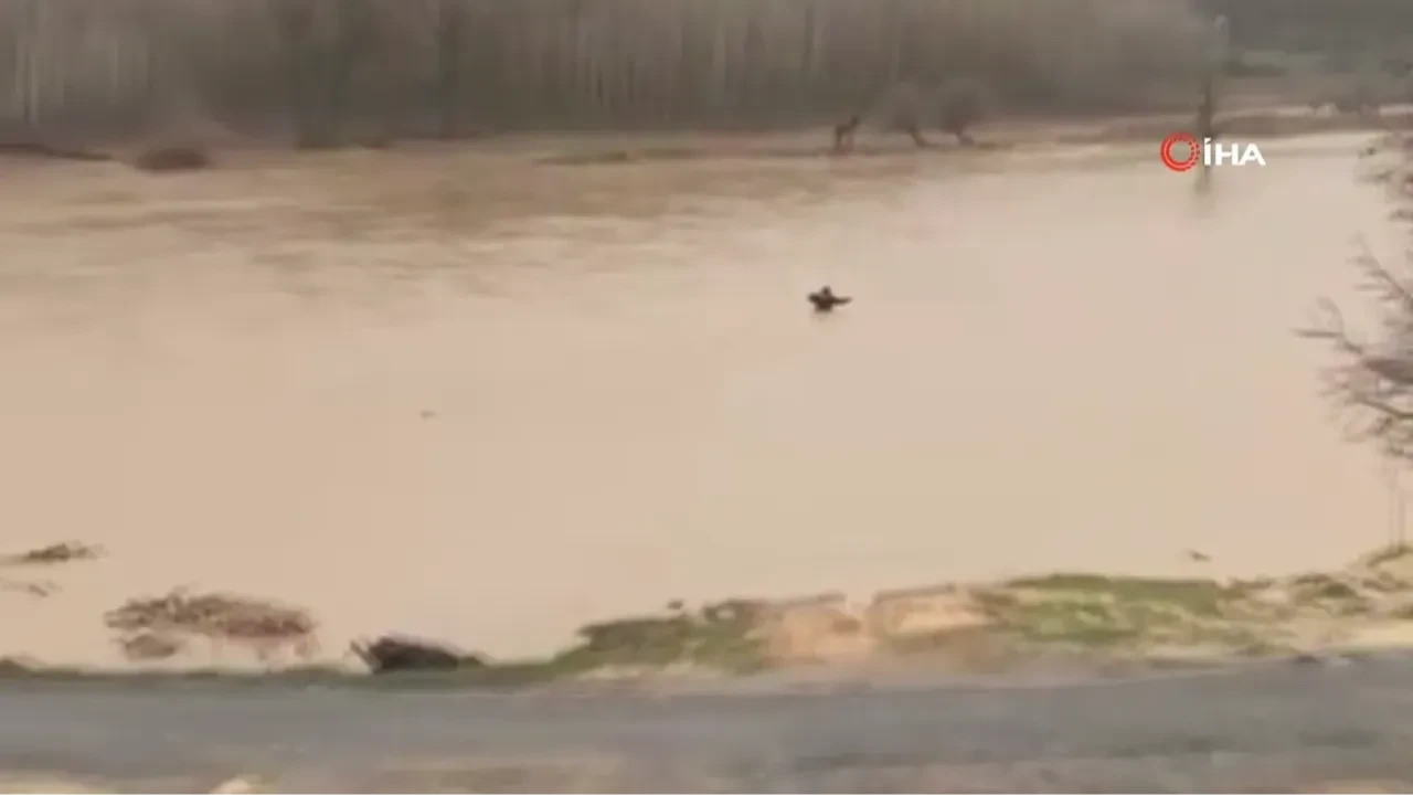 Mardin'de vefa sel tanımadı: Mahsur kalan atını kurtarmak için hayatını tehlikeye attı!
