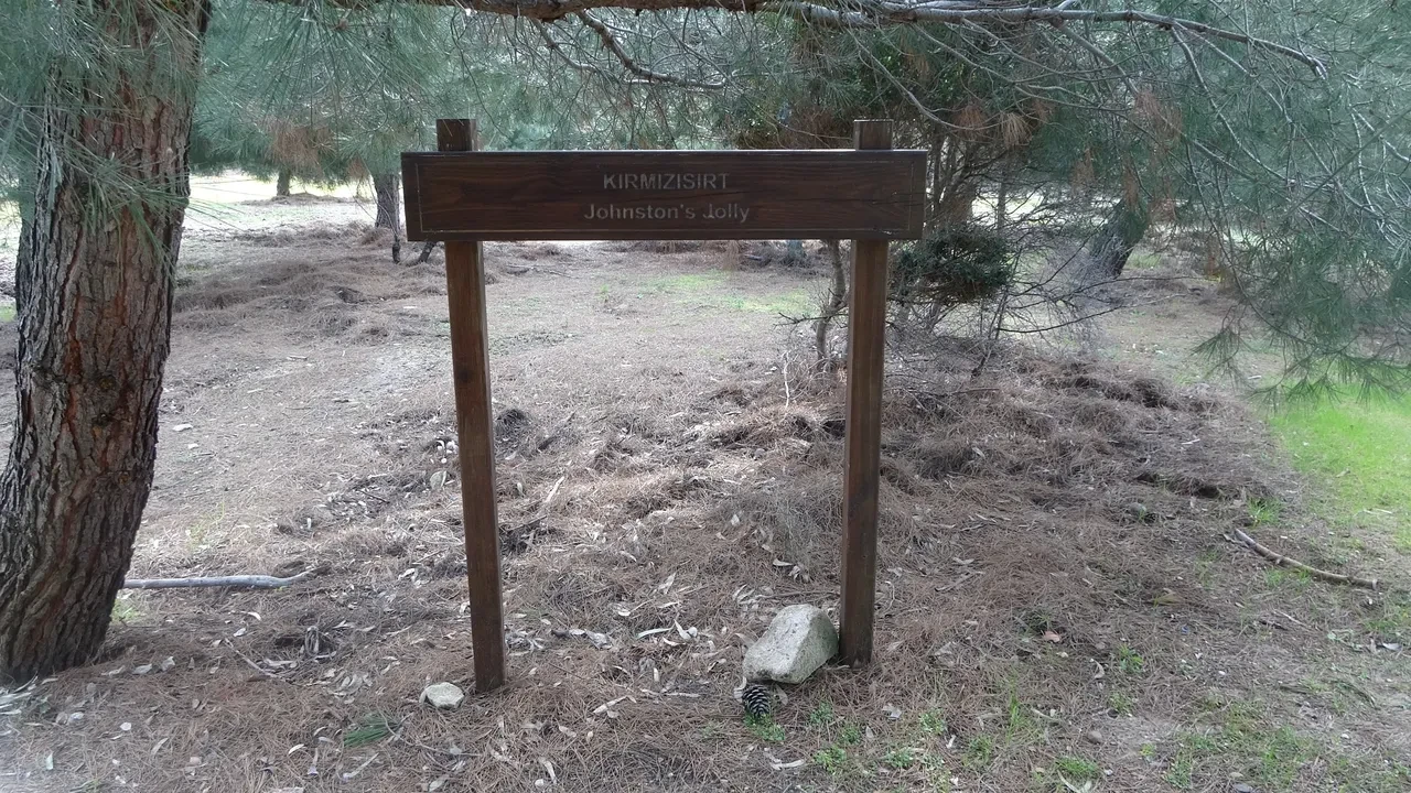 Meşhur Türk askeri fotoğrafı hakkındaki gerçek yıllar sonra ortaya çıktı! Amerikan Kongre Kütüphanesi arşivinde yer alıyordu