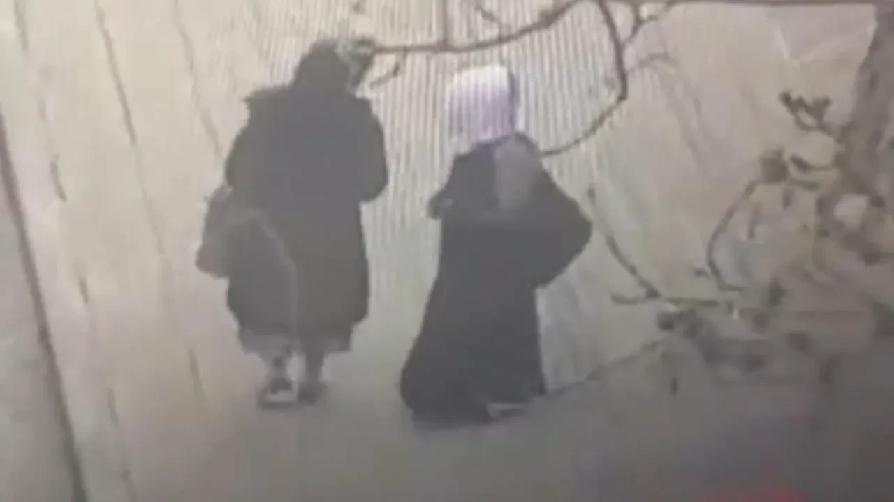 Para talebi reddedilen dilenci çantayı kesip cüzdanı çaldı