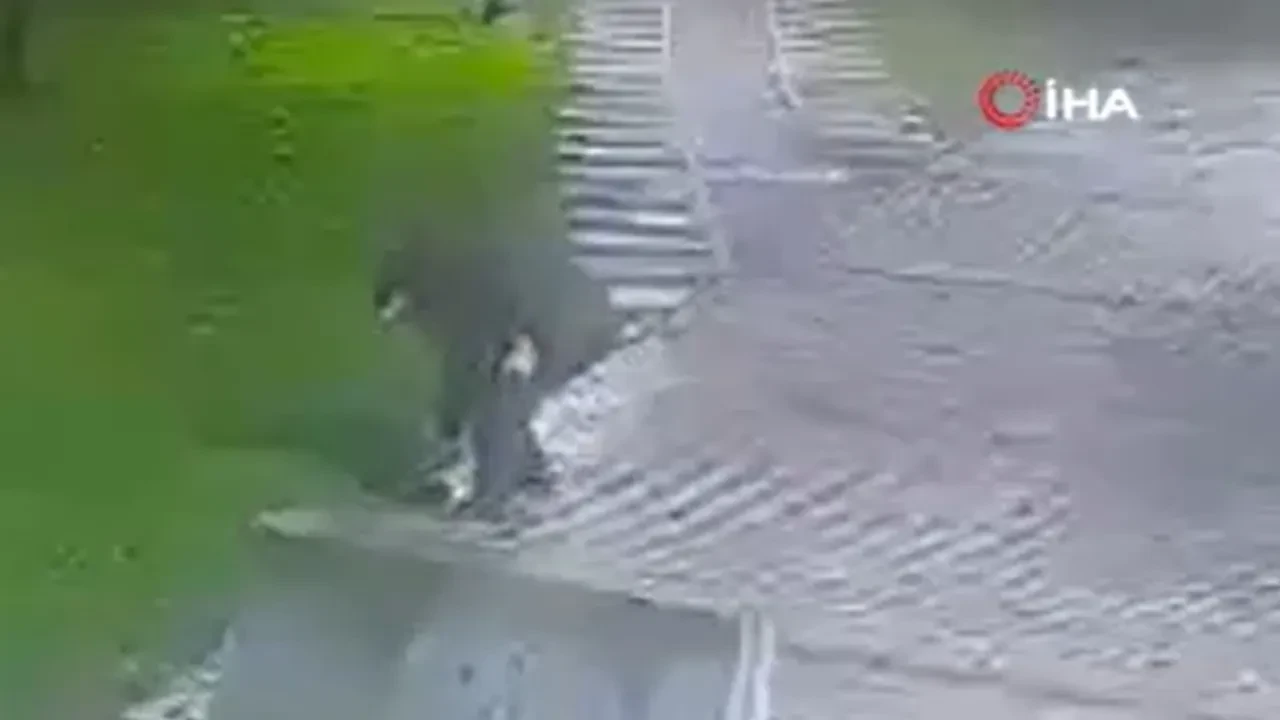 Parkta bulduğu telefonu böyle çaldı! Hırsızlık anları kameraya yansıdı