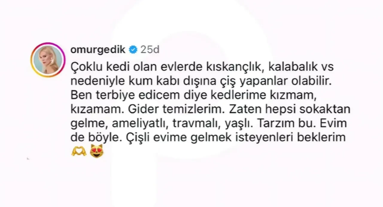 Seda Sayan, 36 kedisi olan Ömür Gedik'in bam teline dokununca aldığı cevapla dumur oldu! 