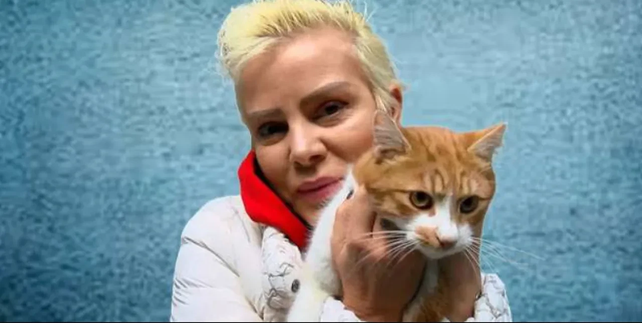 Seda Sayan, 36 kedisi olan Ömür Gedik'in bam teline dokununca aldığı cevapla dumur oldu! 