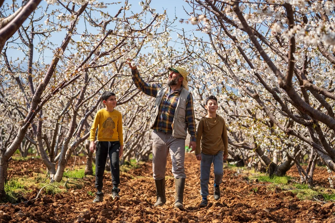 Gece-gündüz arasındaki sıcaklık farkları