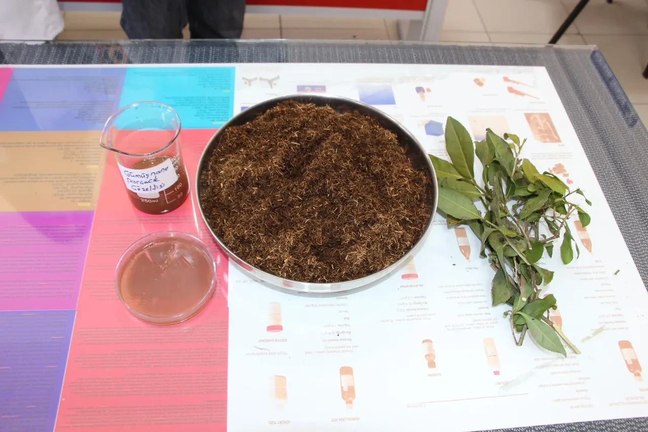 Lise öğrencileri, çay atığıyla yüzde 100'e yakın korumalı antibakteriyel kaplama geliştirildi