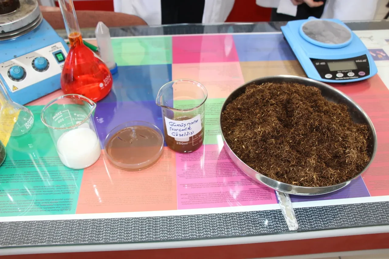 Lise öğrencileri, çay atığıyla yüzde 100'e yakın korumalı antibakteriyel kaplama geliştirildi