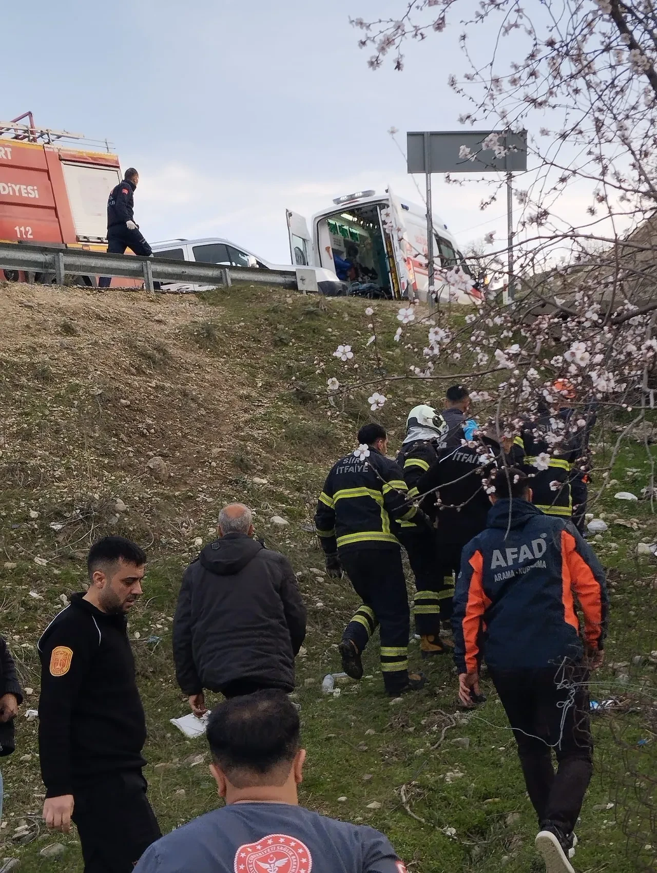 Siirt'te korkunç kaza! Ölü ve yaralılar var