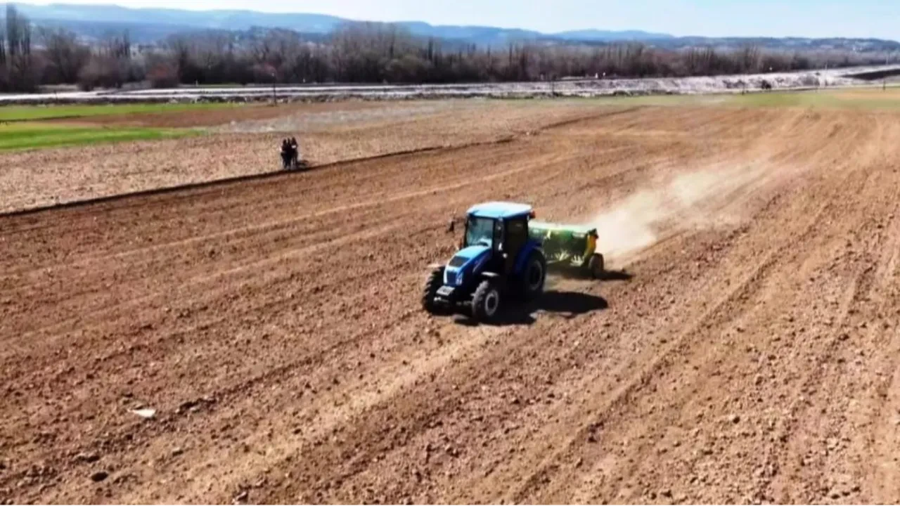 Kütahya'da çörek otu harekatı! Tohumlar yüzde 50 hibeyle çiftçiye dağıtıldı