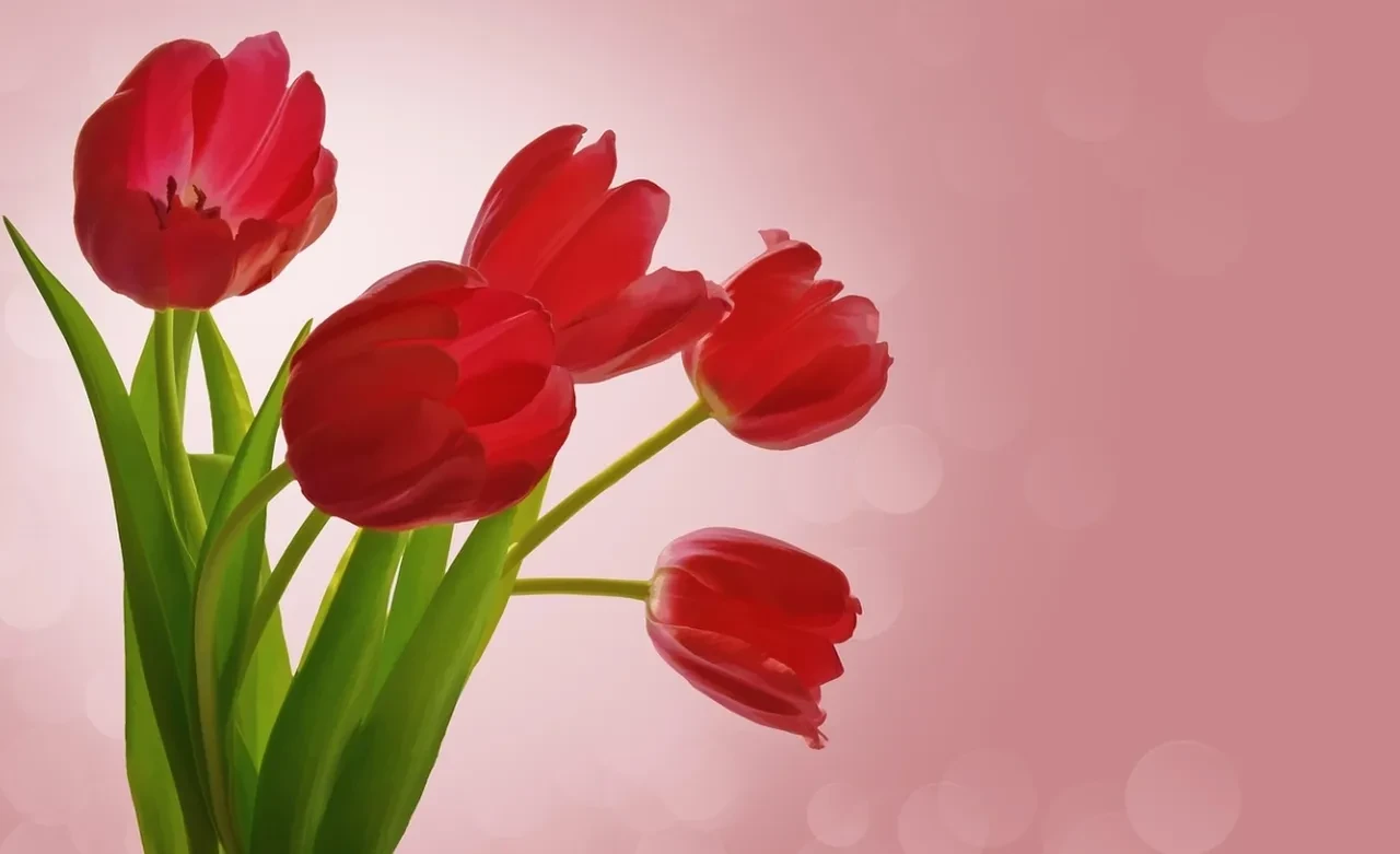 Sevgiliye Ramazan Bayramı mesajı 2026! Sevgiliye kısa, uzun ve romantik bayram mesajı örnekleri