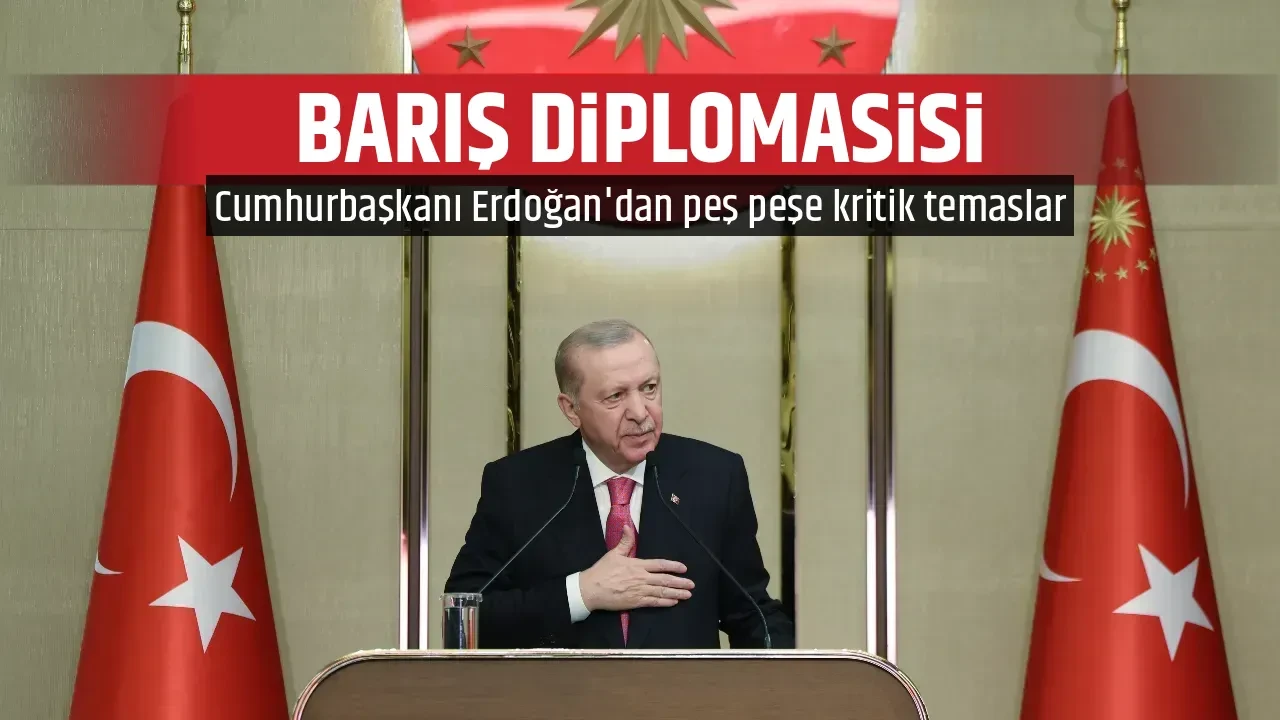 BARIŞ DİPLOMASİSİ