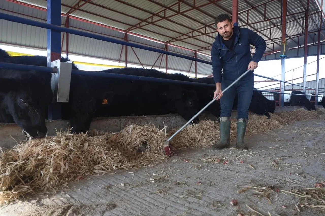 Mühendisliği bıraktı, patron oldu! Hiçbir zaman pişman olmayacağım bir iş