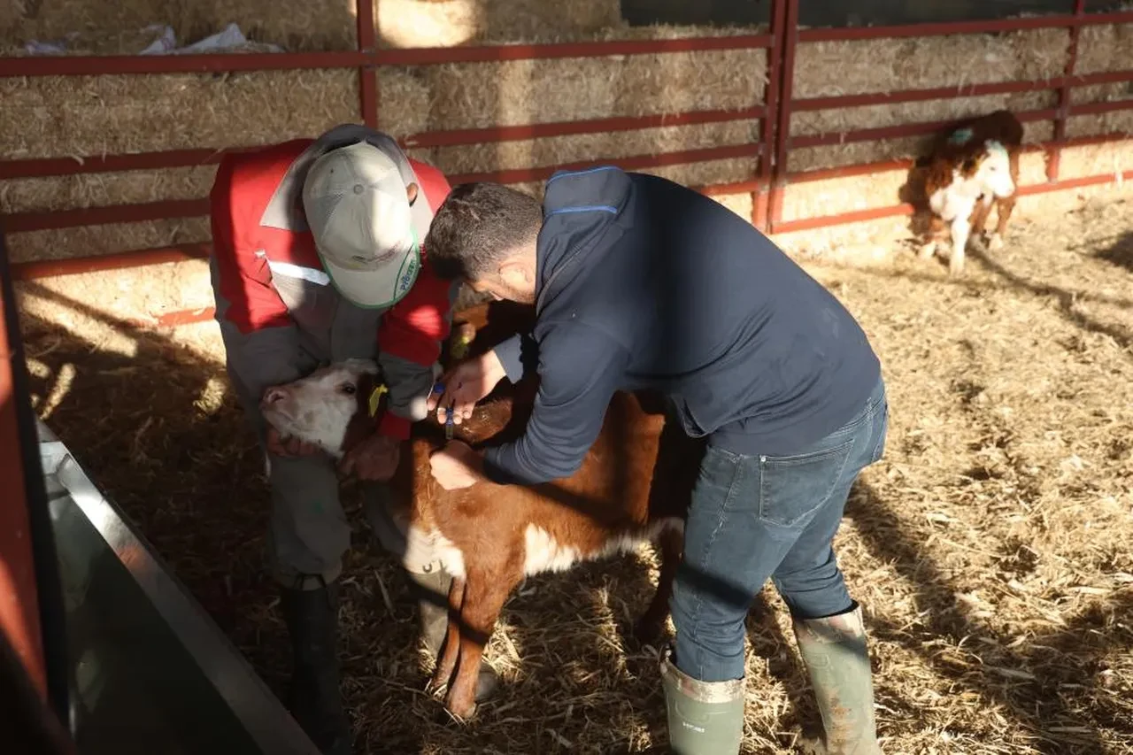 Mühendisliği bıraktı, patron oldu! Hiçbir zaman pişman olmayacağım bir iş