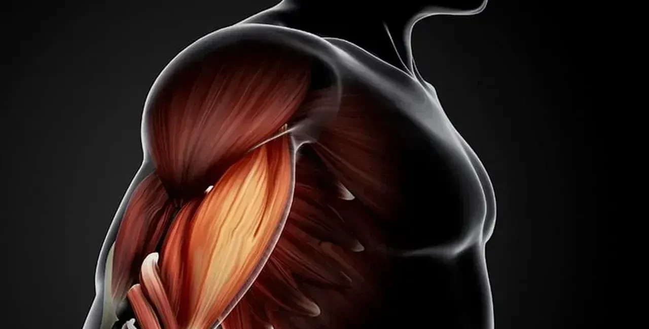 Uzmanından uyarı: Bayramda ani ve ağır beslenme sindirimi zorluyor