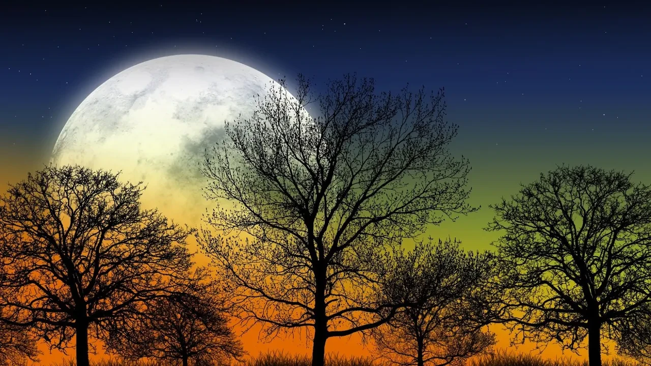 Ay'ın zorlu şartlarında patates yetiştirildi! Ancak büyük bir sorun var