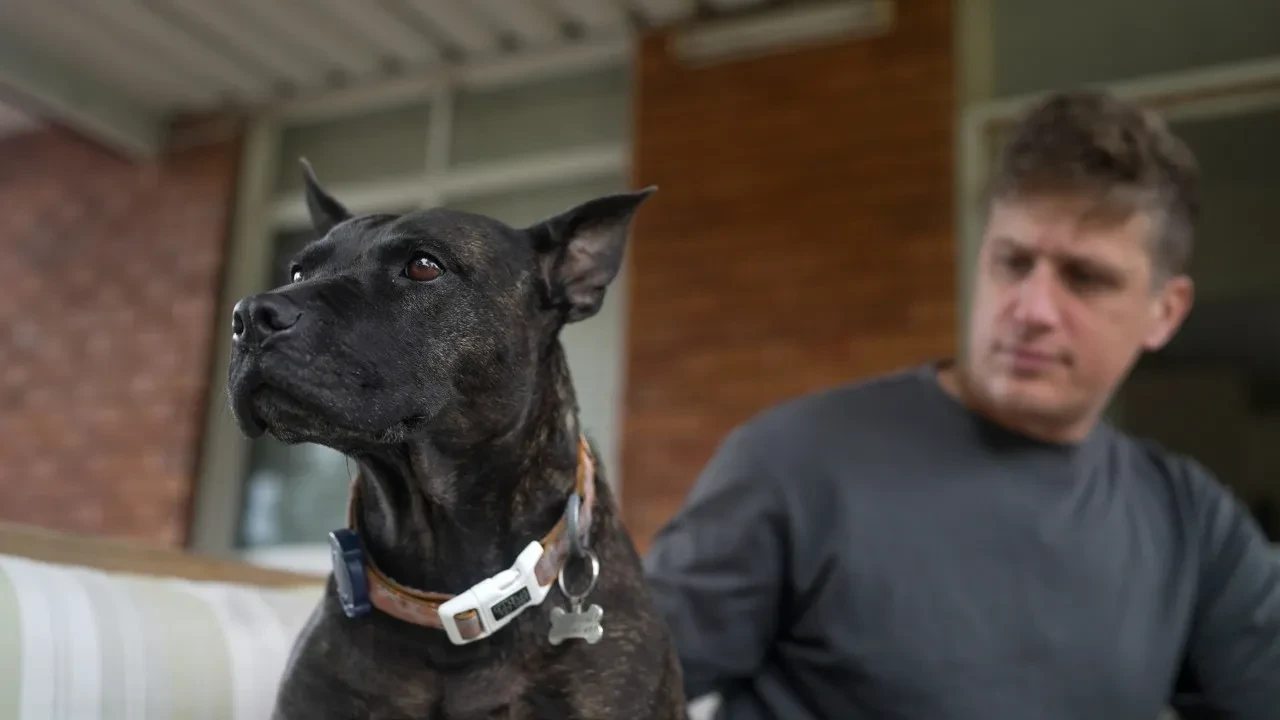 Kanser olan köpeğini kurtarmak için yapay zeka ile özel mRNA aşısı üretti!