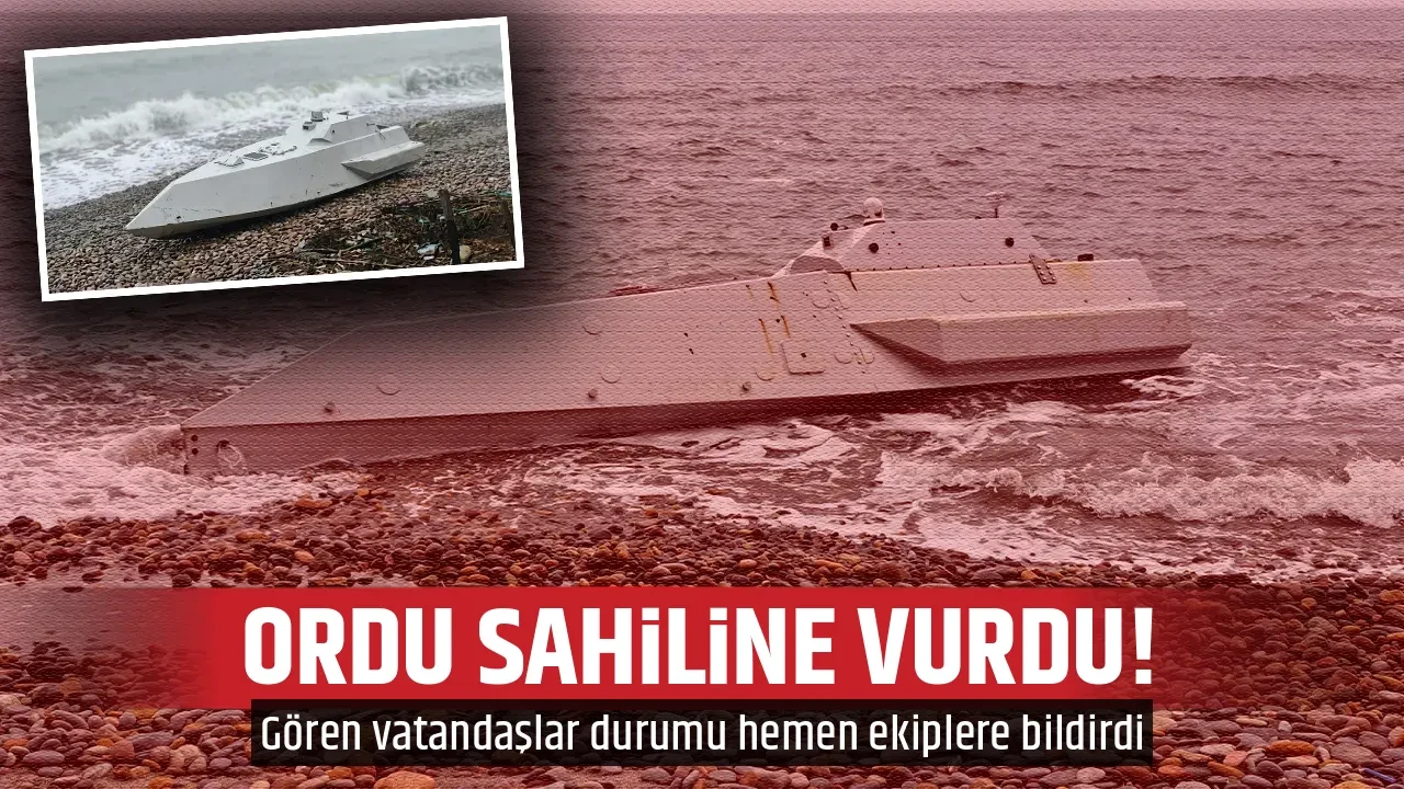 ORDU SAHİLİNE VURDU!