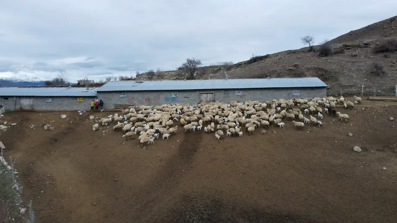Erzincan'da esrarengiz olay! Hiçbir belirti göstermeden aniden yere yığılıp tek tek ölüyorlar: 'Acil yardım istiyoruz' 