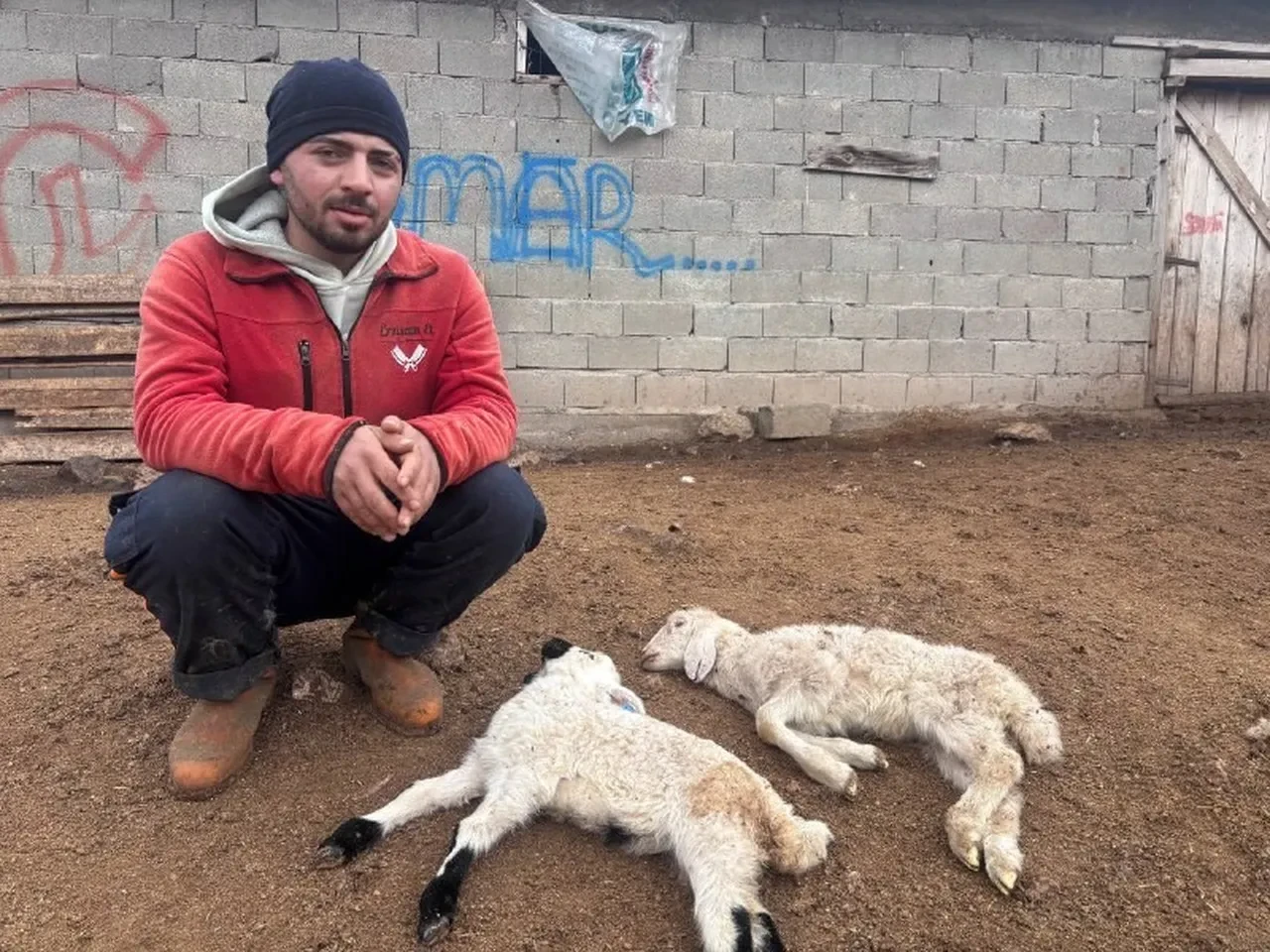 Erzincan'da esrarengiz olay! Hiçbir belirti göstermeden aniden yere yığılıp tek tek ölüyorlar: 'Acil yardım istiyoruz' 