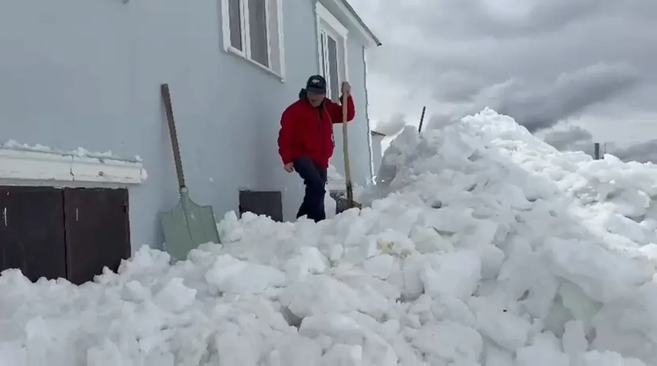 Gümüşhane’de şoke eden olay! Ayılar ikinci kattaki eve pencereden girdi