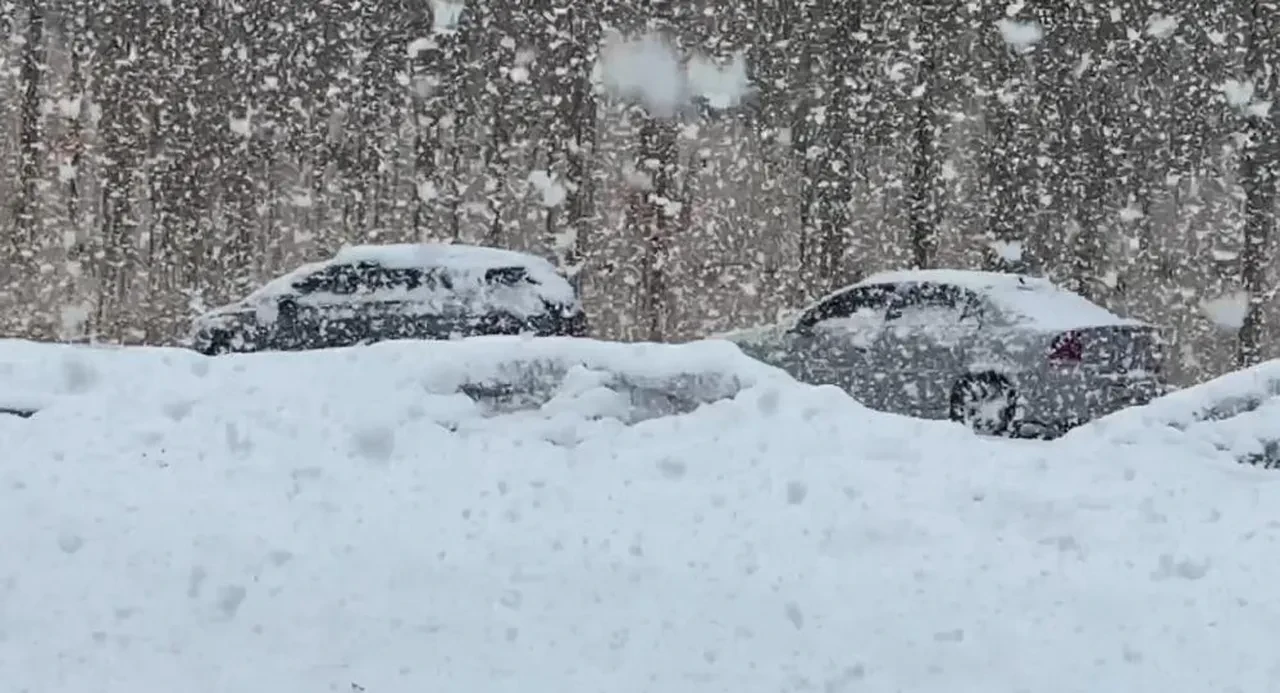 Hakkari'de eğitime kar engeli! Okullar tatil edildi