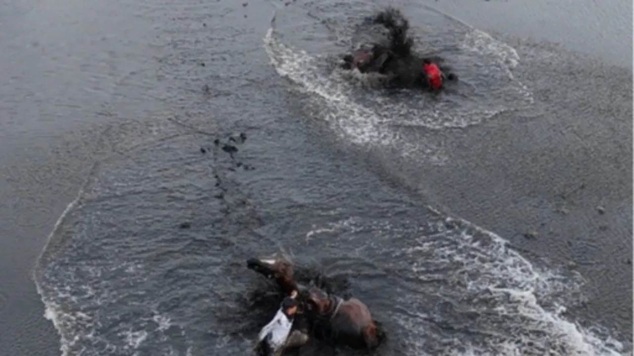 Kayseri'de ata binen iki kişi atlarla beraber suya düştü! O anlar kamerada 