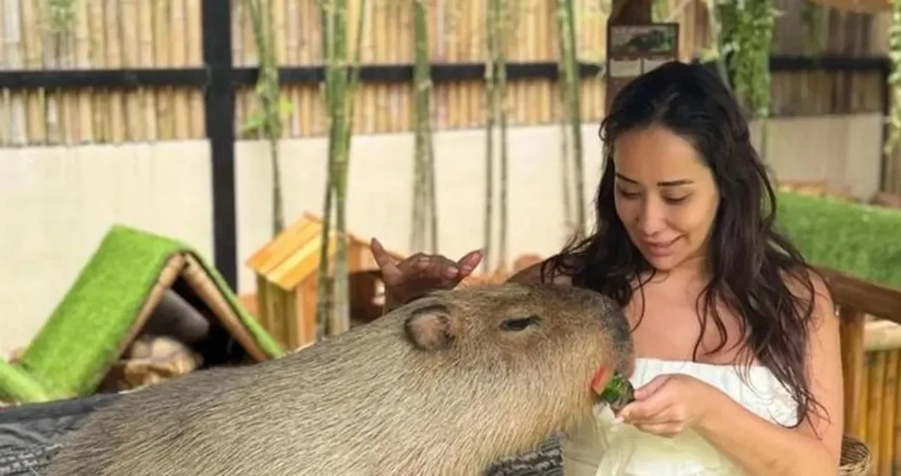 Dijan Nazlan Köse kimdir? Dijan Nazlan Köse kaç yaşında mesleği nedir?