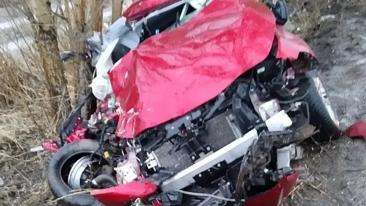 Erzurum’da feci kaza: Aynı aileden 2 kişi hayatını kaybetti