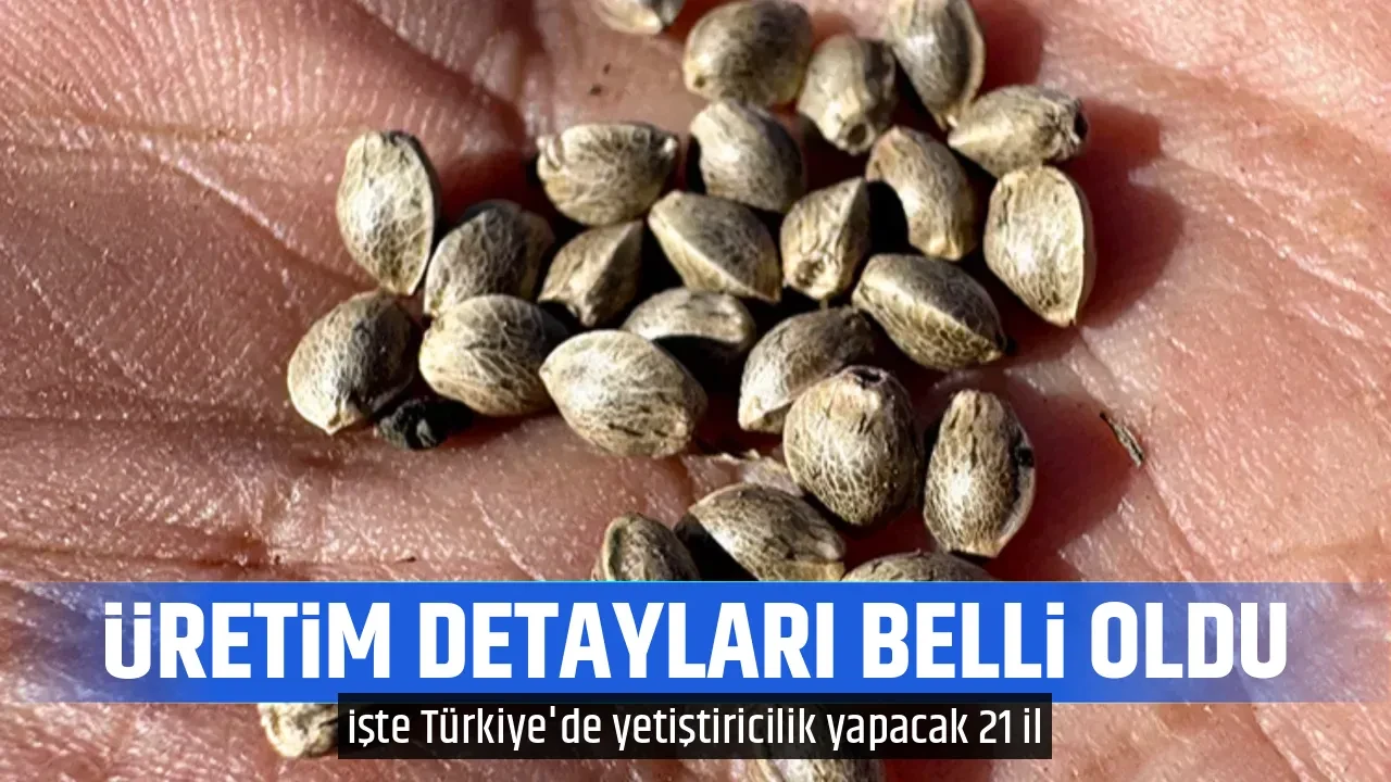 ÜRETİM DETAYLARI BELLİ OLDU
