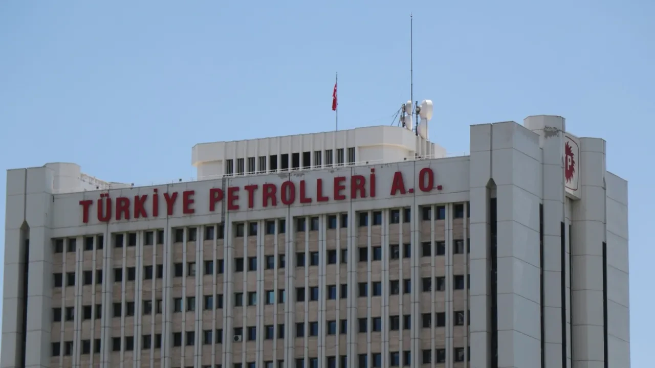 TPAO ihalesi sonrası iki Çinli şirkete Türkiye’de 1 yıllık yasak
