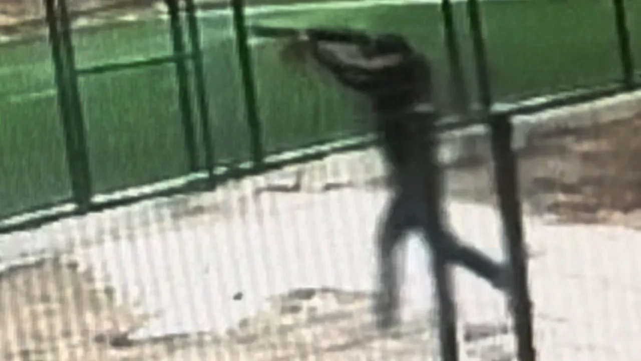 Çocuk parkında dehşet! Pompalı tüfekle rastgele ateş açtı: O anlar kamerada 