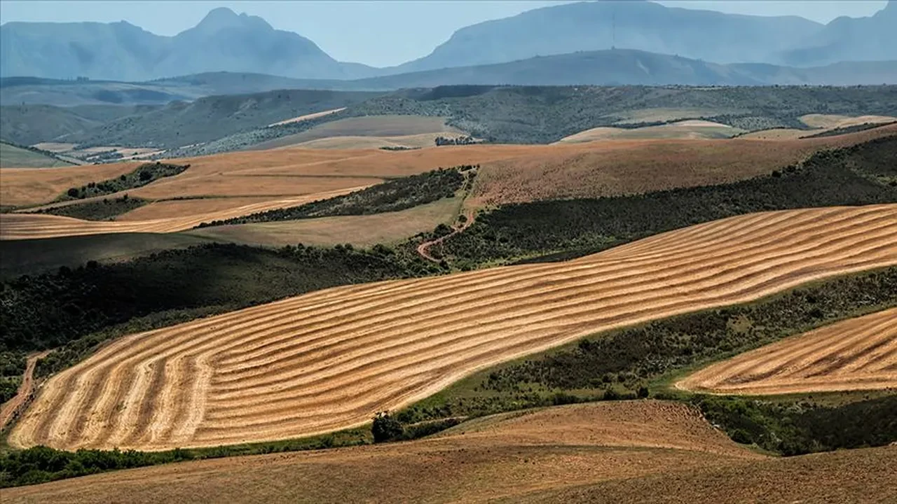 Emlak piyasasında yeni trend! Şenay Araç çift gelir için formülü açıkladı!