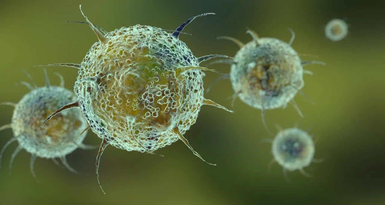 Kolon kanseri riskini artıran gıdalar belli oldu: Herkesin sofrasında var, her gün tüketiliyor