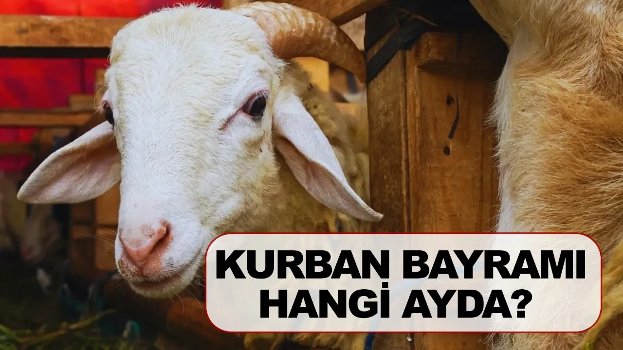 Kurban Bayramı hangi ayda 9 gün tatil olacak mı?