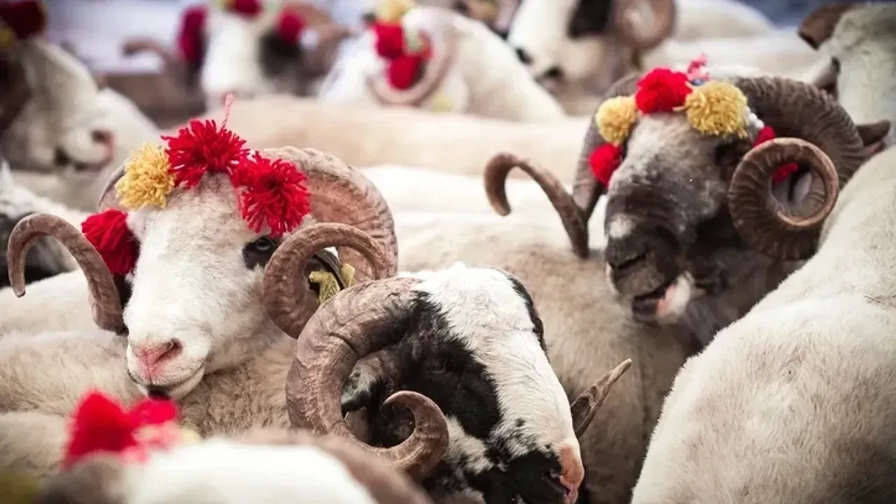 Kurban Bayramı hangi ayda 9 gün tatil olacak mı?