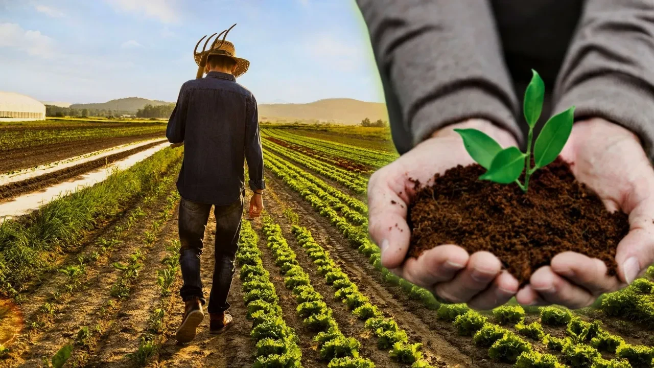 Mazot ve gübre desteğinin yatma tarihi açıklandı mı: Ödeme tarihleri belli oldu mu?