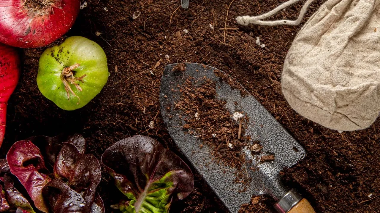 Mazot ve gübre desteği ödemeleri 2026 yattı mı? Mazot ve gübre desteği ödeme sorgulama yöntemi