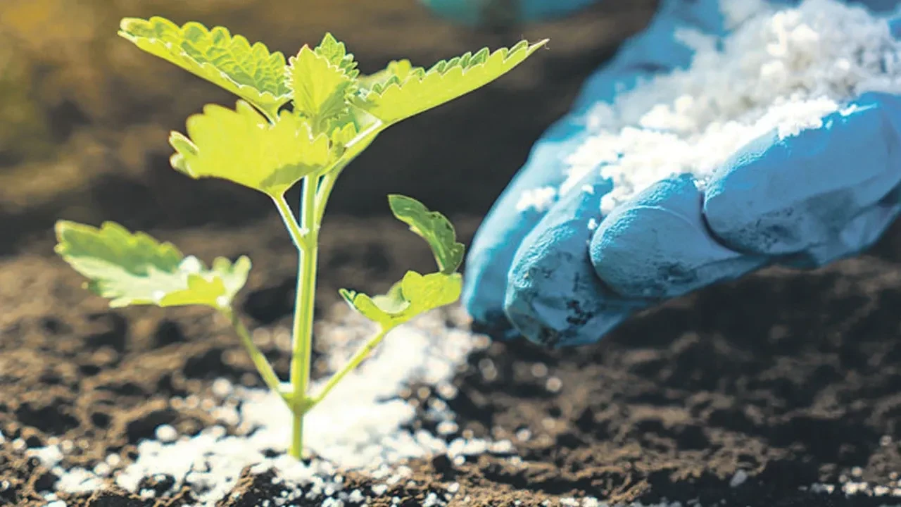 Mazot ve gübre desteği ödemeleri 2026 yattı mı? Mazot ve gübre desteği ödeme sorgulama yöntemi
