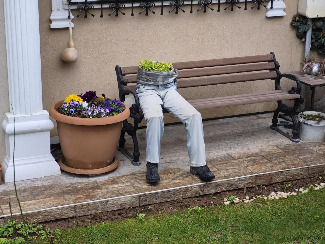 Bahçeye bakanlar kısa süreli şok geçirdi! Görenler dönüp bir daha baktı