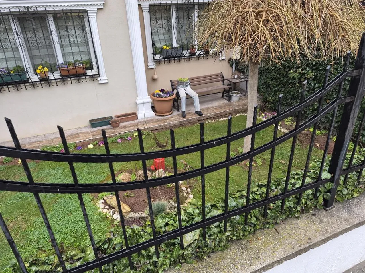 Bahçeye bakanlar kısa süreli şok geçirdi! Görenler dönüp bir daha baktı