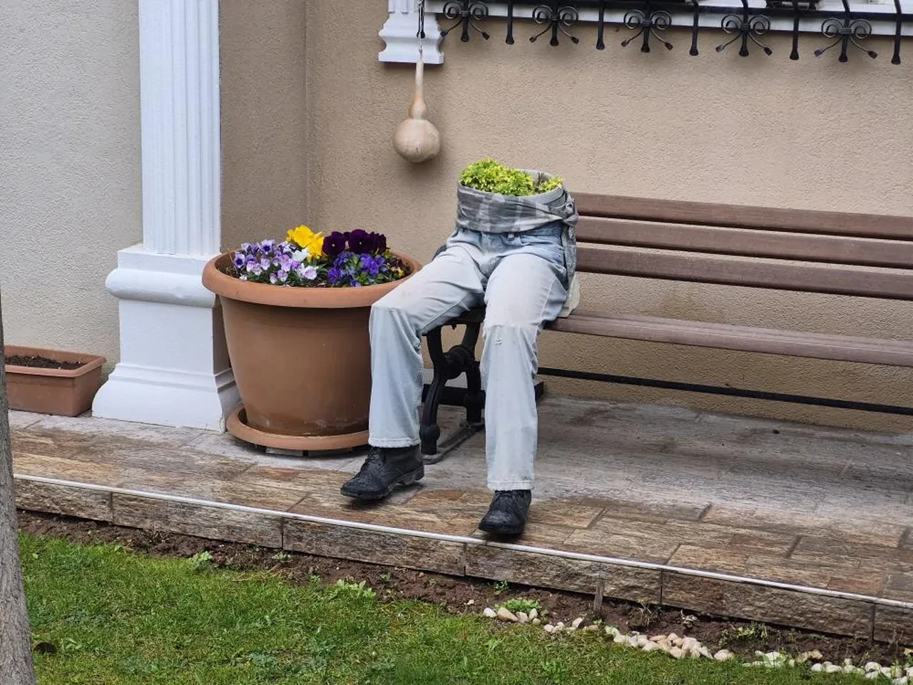 Bahçeye bakanlar kısa süreli şok geçirdi! Görenler dönüp bir daha baktı