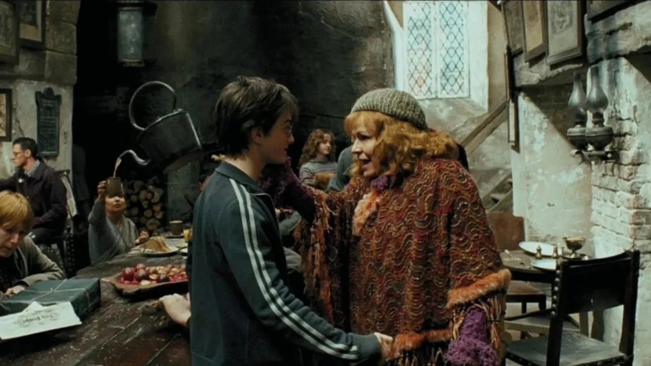 Harry Potter dizi serisi