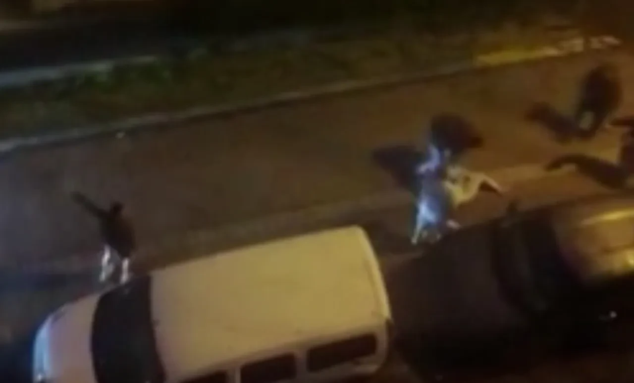 İki aile sokak ortasında birbirlerine girdi! O anlar kamerada