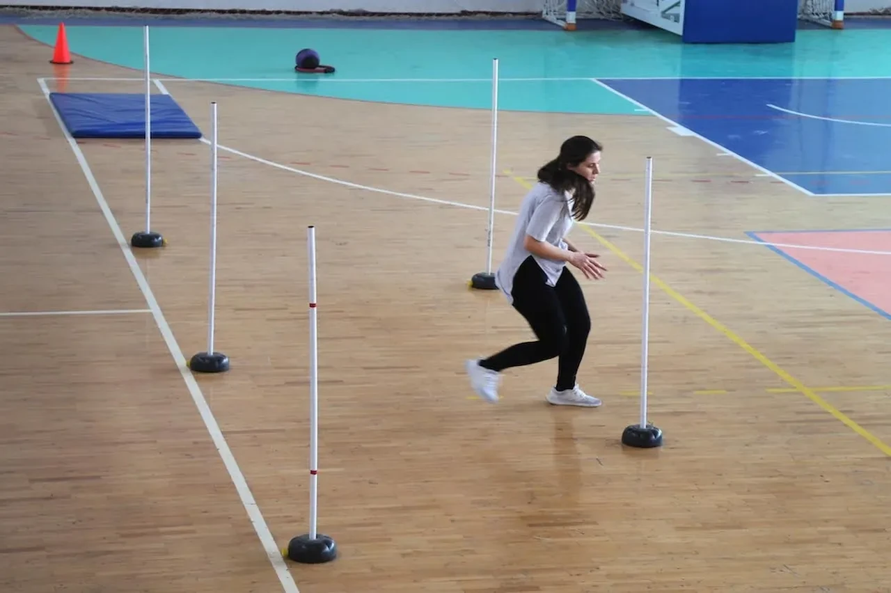 POMEM 33. dönem sınav giriş belgesi ve parkur bilgileri ekranı