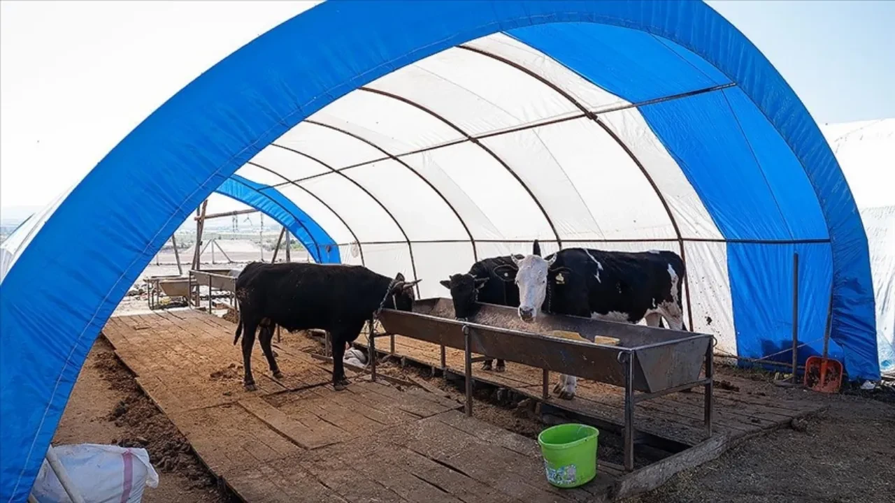 SULTANGAZİ BELEDİYE BŞK.