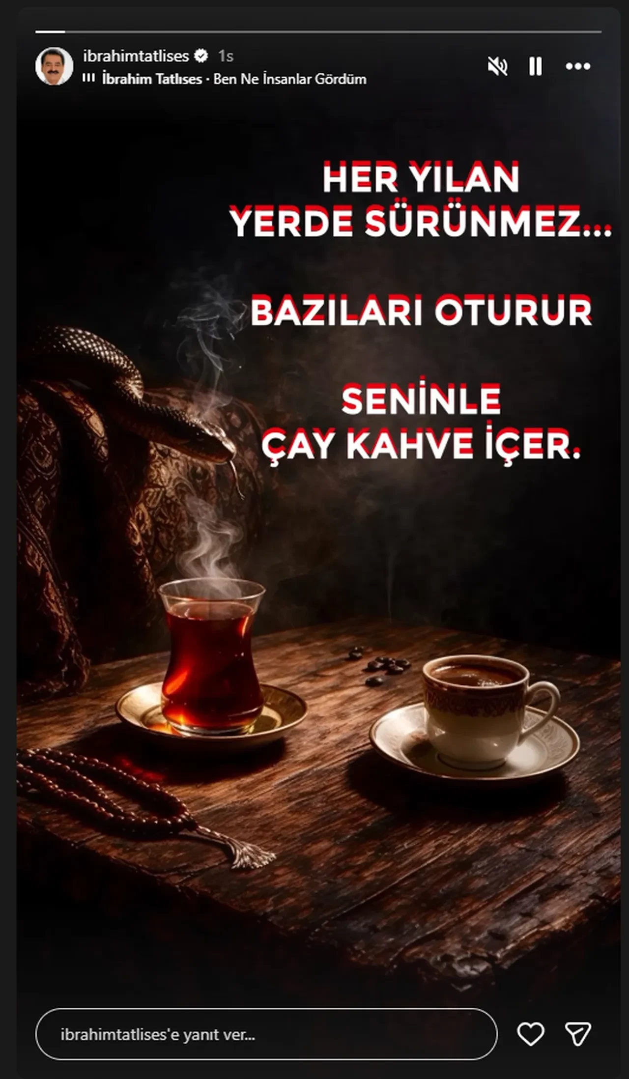 Tatlıses ailesinde sular durulmuyor! İbrahim Tatlıses'in yılan benzetmesine yorum yağdı 