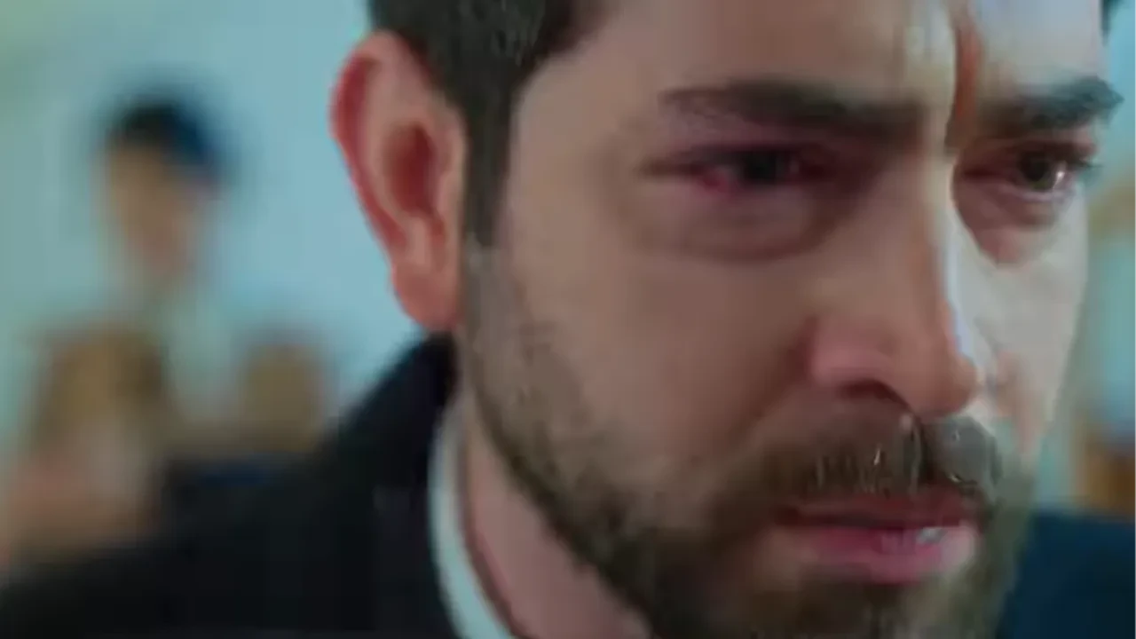 Feride Dicle'nin neyi